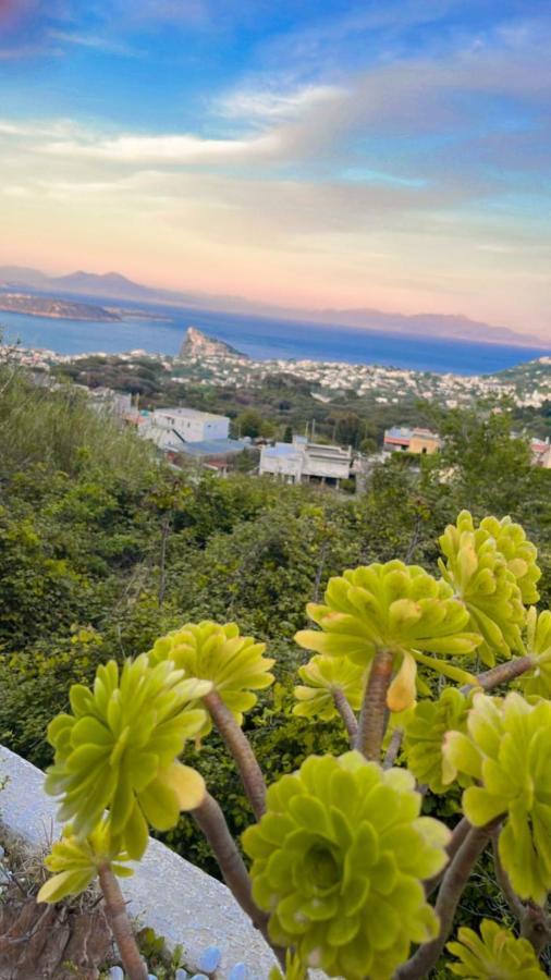 Relais Villa Ettore Barano dʼIschia Exterior foto