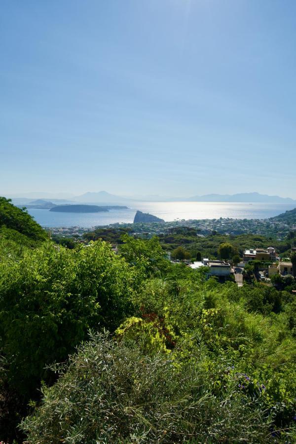 Relais Villa Ettore Barano dʼIschia Exterior foto