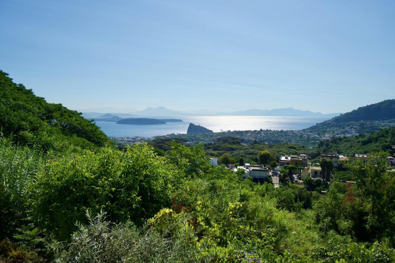 Relais Villa Ettore Barano dʼIschia Exterior foto